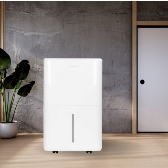Máy hút ẩm 60L Lumias D6S-60L