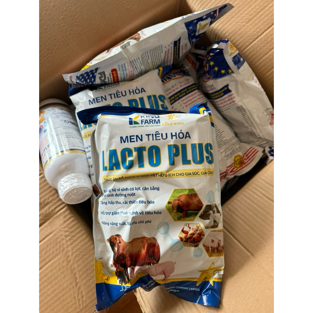 Bigking Men tiêu hóa Lacto Plus cho gia súc gia cầm