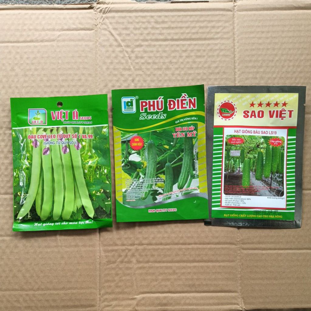 bộ-3 rau ăn trái đậu co ve- dưa chuột-bầu sao việt( tặng 1 gói siêukali-bo