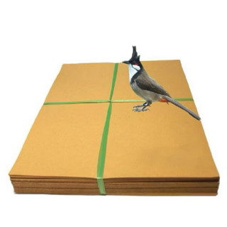  Combo 10kg giấy Vuông lót lồng chim Chào Mào đủ kích cỡ giá rẻ 