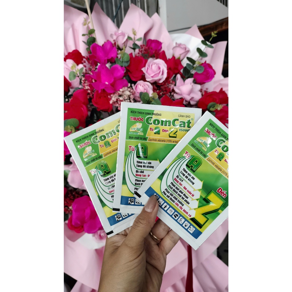 ComCat từ A đến Z (7,55G)- LÚA VÀNG