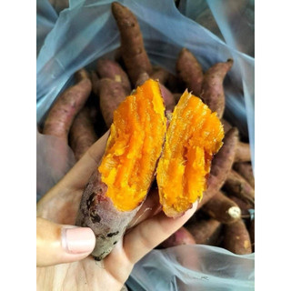 5kg khoai lang mật chuẩn tà nung đà Lạt size nhỏ 15.18 củ 1kí