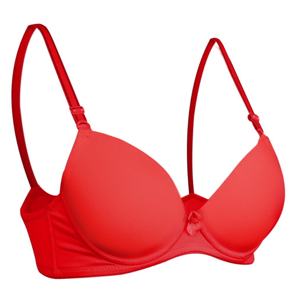 Áo lót ngực cup trung nữ chất liệu Nylon 066P 8824 PALTAL