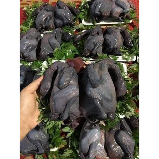 Set Gà ác dùng để tiềm thuốc bắc 2 con 400gr (hoả tốc hcm)