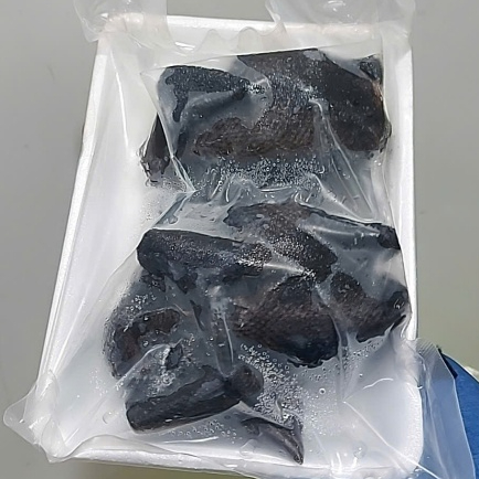 Set Gà ác dùng để tiềm thuốc bắc 2 con 400gr (hoả tốc hcm)