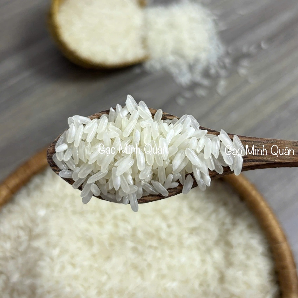 [10KG GẠO 504] GẠO NƠ KHÔ XỐP CƠM - GẠO NỞ NHIỀU RẤT LỢI CƠM, KHÔNG HÔI