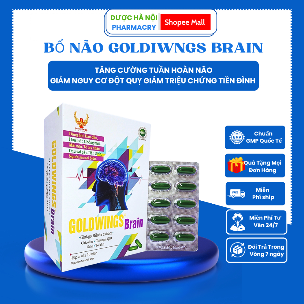 Goldwings Brain – Hỗ Trợ Tuần Hoàn Não Khỏe Mạnh, Phòng Tai Biến, Giảm Nguy Cơ Di Chứng Sau tai biến