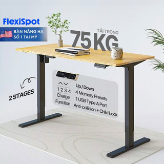   NÂNG CẤP MỚI  Bàn Làm Việc Đứng DERGO Flexispot E2 Pro 