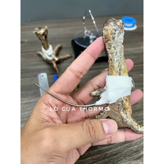  Cựa gà tre cựa gà nồi vọng việt lai * SIÊU THÔNG KIM - THÉP MỸ VIP * 1 đổi 1 * 