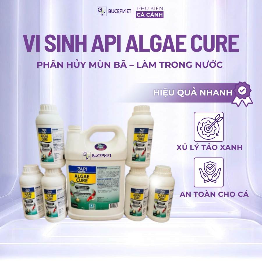 Vi sinh API ALGAE CURE POND - phân huỷ phân cá, mùn bã, làm nước siêu trong, giảm bụi cực nhanh và m
