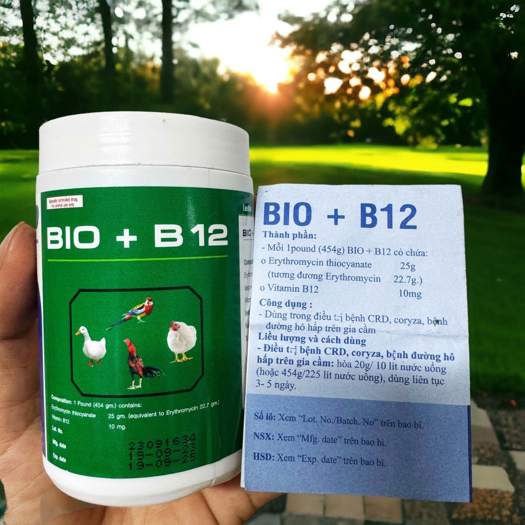 Bio B12 Úm Gà Con Hộp 100g Nuôi Gà Đá Chim Cảnh