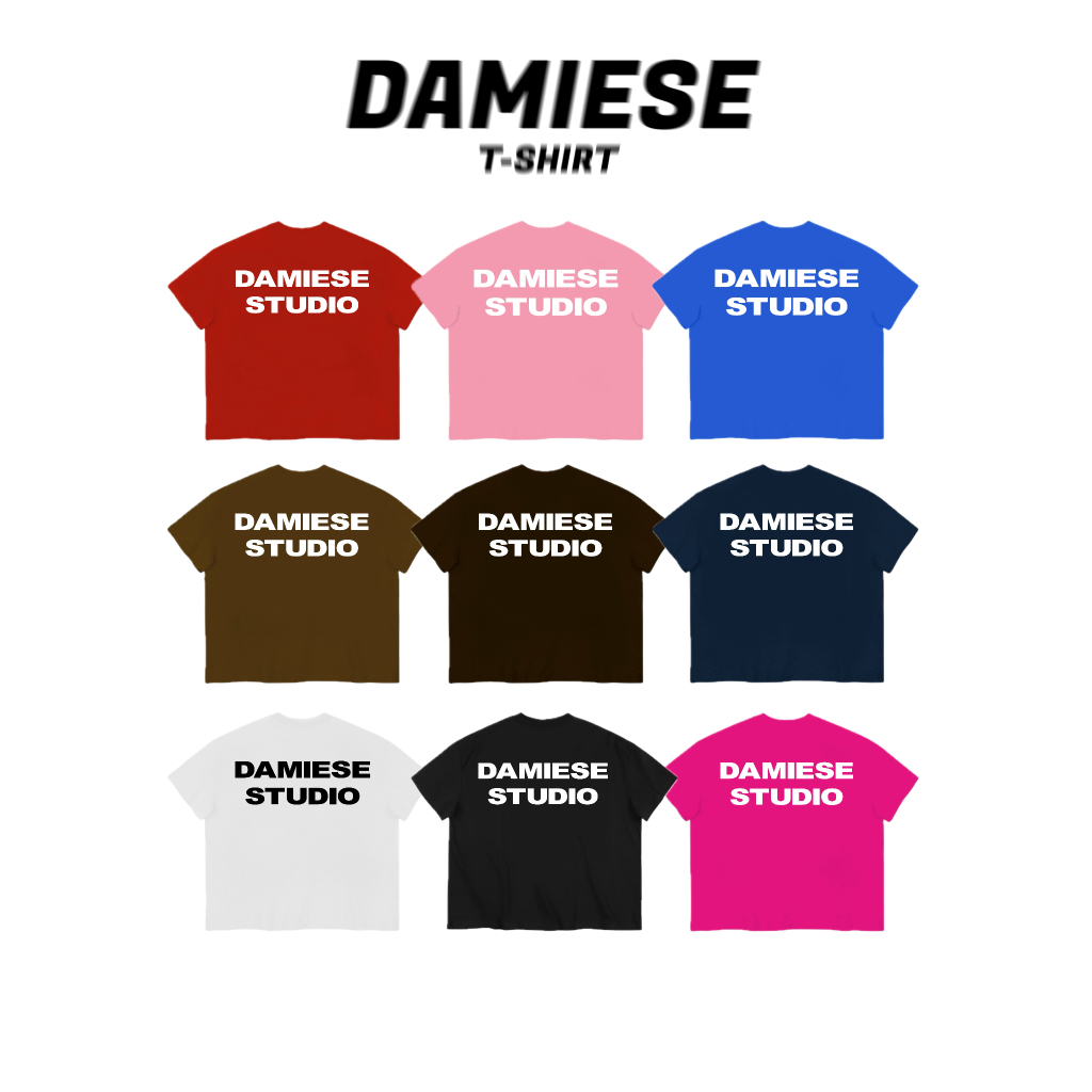 ÁO THUN BOXY LOCAL BRAND DAMIESE "DAMIESE BASIC" COTTON 260GSM