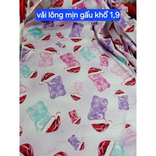 Vải lông mịn hình gấu khổ 1,9m