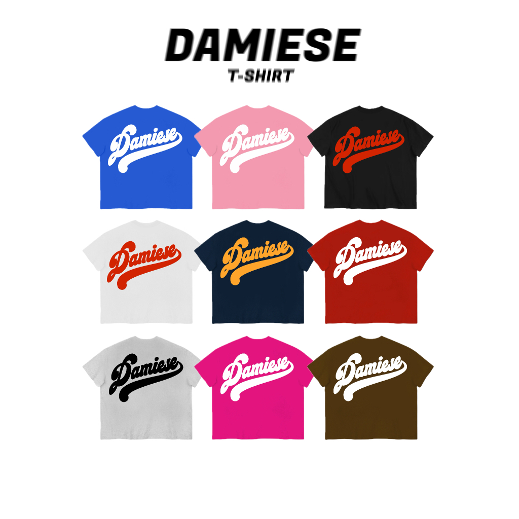 [24 MÀU] ÁO THUN BOXY LOCAL BRAND DAMIESE "BIG LOGO" COTTON 260GSM