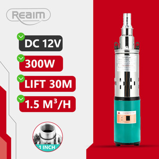  Reaim Máy Bơm Nước Chìm 12V 300W - Cho Giếng Sâu Hộ Gia Đình Và Tưới Tiêu Nông Nghiệp 