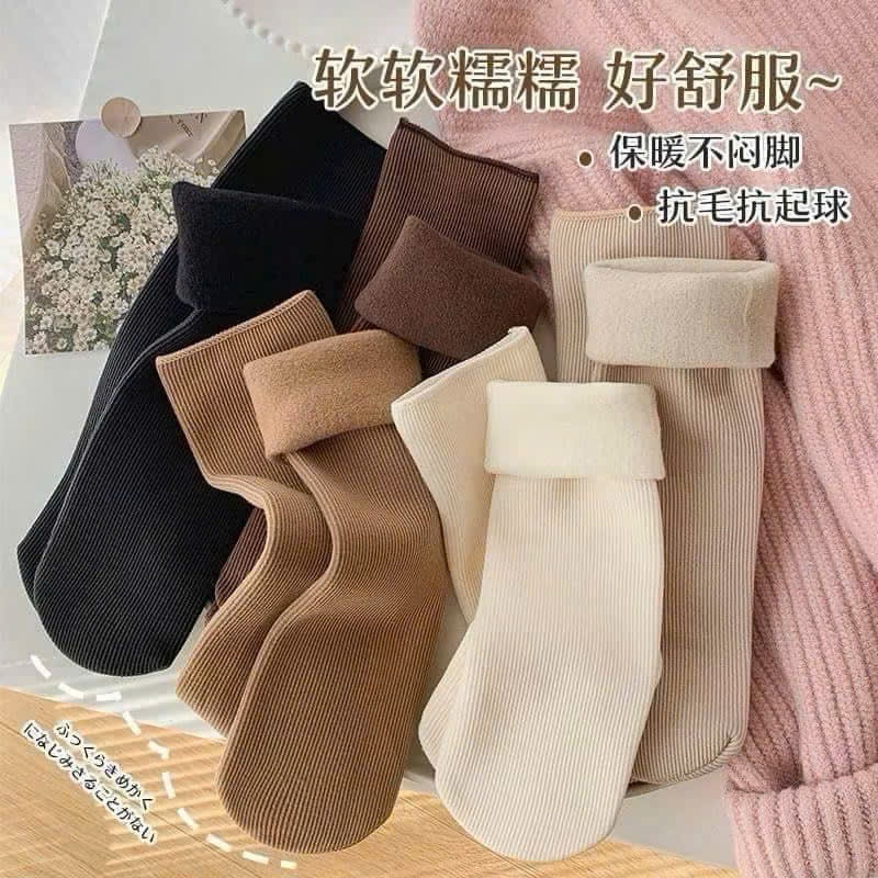 Combo 10 đôi tất vớ lót lông nỉ sinh nhiệt cổ cao dày dặn giữ ấm mùa đông phong cách Hàn Quốc pastel