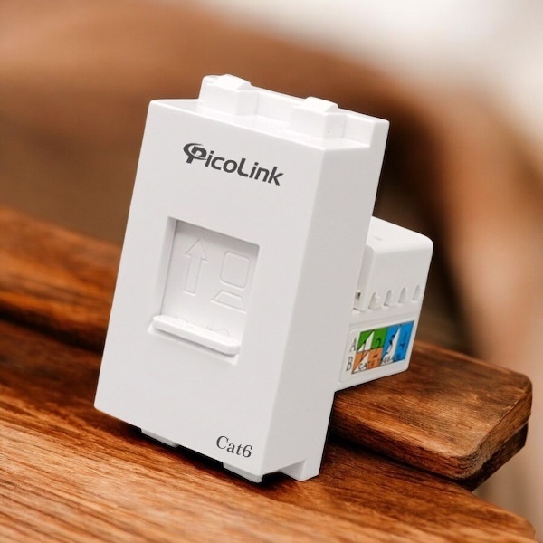 Nhân Mạng RJ45 Cat6, Modul Rack Cat6, PicoLink PL-19166