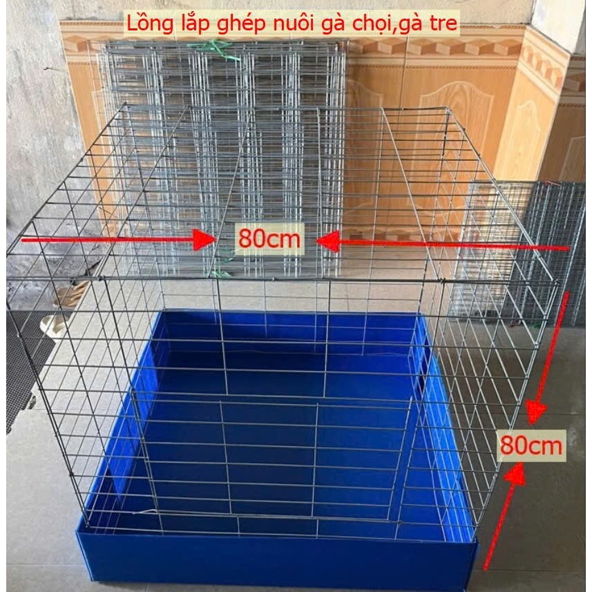 Lồng gà chọi, lồng gà 80x80x80cm + khay nhựa, chất liệu mạ kẽm bền đẹp.