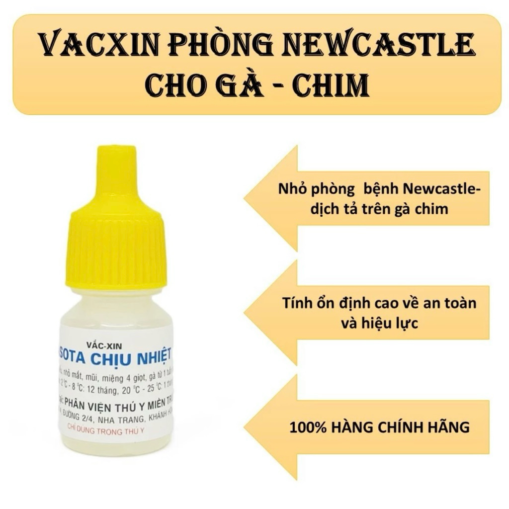 Lasota chịu nhiệt dùng cho gà con 3 ngày tuổi.