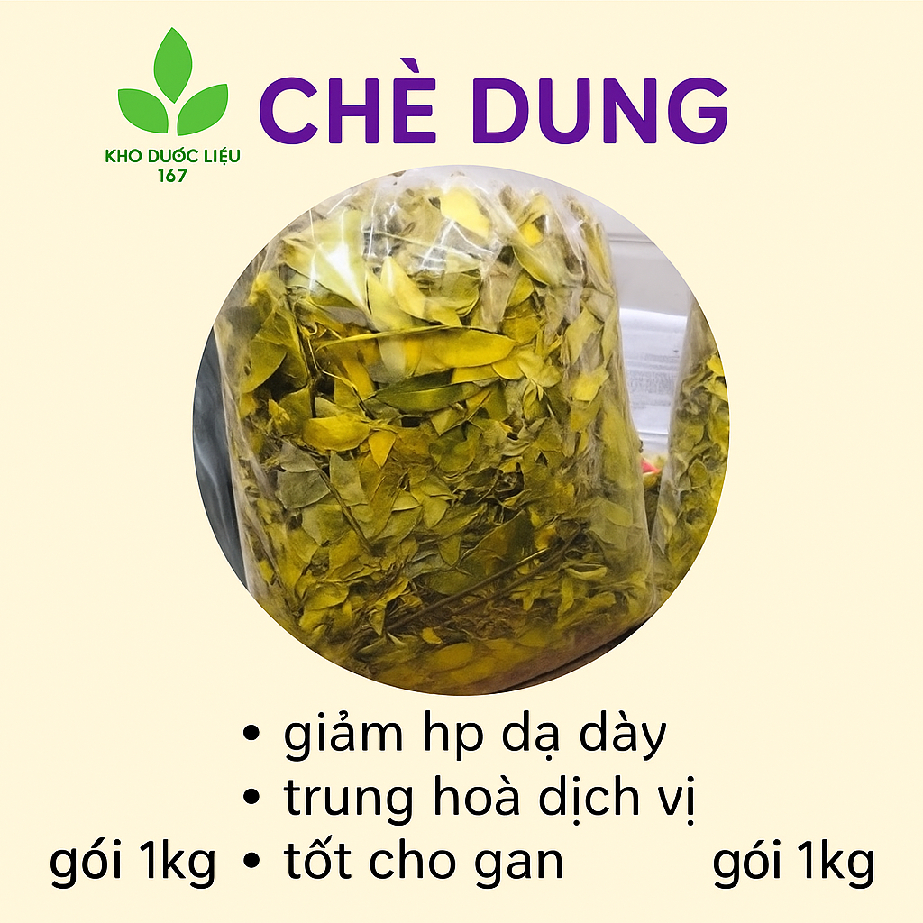 Gói 500gr  Chè lá dung (lá dum) sấy khô nhà quê - tăng cường tiêu hoá, hỗ trợ dạ dday