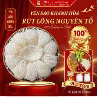  Tổ Yến Khánh Hoà Sợi Rút Lông Nguyên Tổ Cao Cấp  Kèm Đồ Chưng  - NHA TRANG NEST - X.RL 