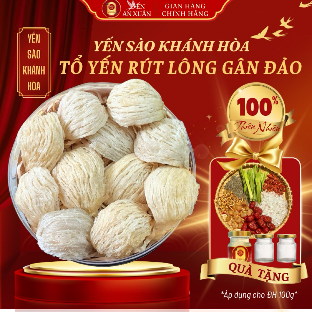 Tổ Yến Rút Lông Gân Đảo (Tặng Kèm Đồ Chưng) - NHA TRANG NEST - X.ĐRL