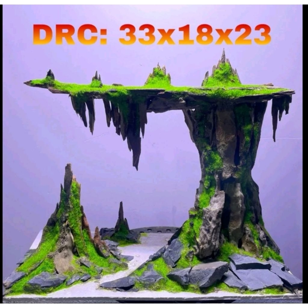 Layout đảo bay trang trí bể cá thủy sinh layout bể 40