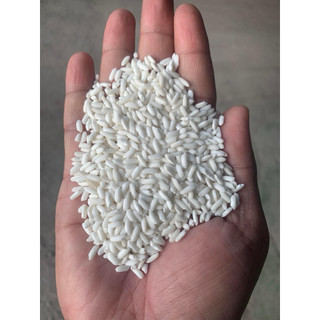 miễn ship gạo nếp nhung đồi hạt dài ngon dẻo trắng 10kg