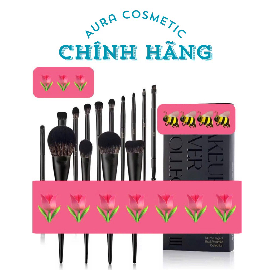 Bộ cọ Jessup