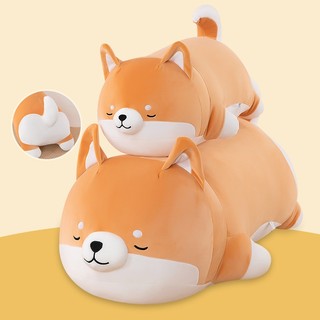 Gấu Bông Thú Bông - Chó shiba vàng trắng nằm sấp