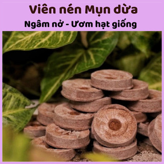 Combo 10 - 50 Viên Nén Mụn Dừa Ươm Hạt Giống -  Ngâm Nở  – Tiện Lợi