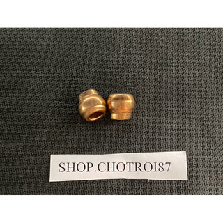 2 viên bạc lu đồng thau, bạc lu chính hãng Điện cơ Thống Nhất