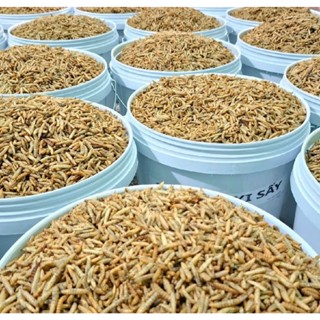  Sâu Canxi Sấy Khô Sấy Phồng Cao Cấp Thức ăn nuôi gà đá chim cá nhím chuột hamster Sâu Sấy Canxi BBF 