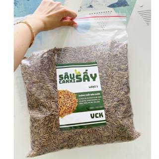   G.I.Á SỈ  1kg Sâu canxi sấy khô LOẠI 1 sâu sấy phồng vàng đều thơm thức ăn ưa thích của gà đá chim cá hamster 