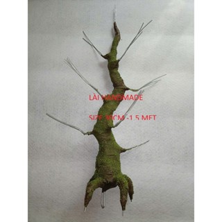  Gốc bonsai làm hoa mai đào thân giả gốc làm hoa kẽm nhung gốc cây kẽm 