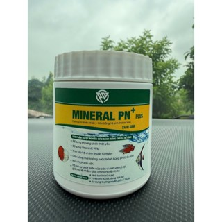 [***NEW PRODUCT***] Bột Khoáng Mineral PN+ PLUS (X4 VI SINH)