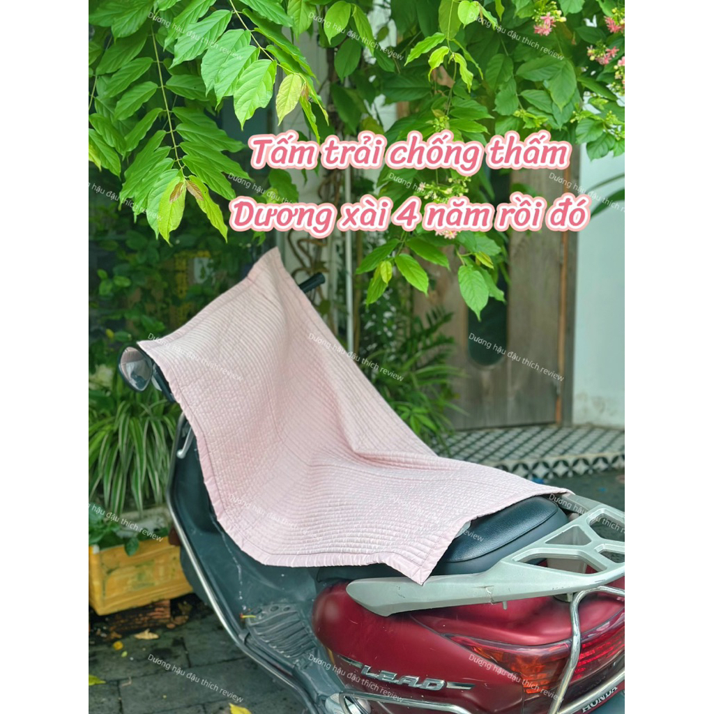 Lót chống thấm Amante size 60*120