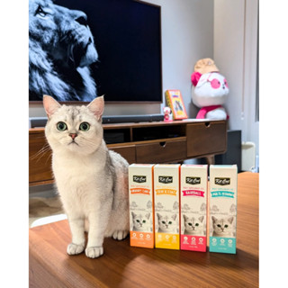  Gel dinh dưỡng ngừa búi lông,hỗ trợ tiết niệu & tăng cân cho mèo - Kit Cat Daily Supplement Gel 120g 