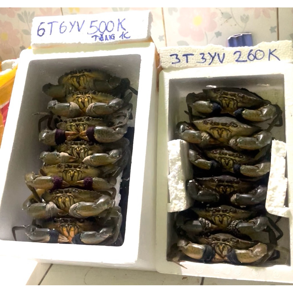 CUA CÀ MAU NGON GẠCH VÀNG NGỌT THƠM