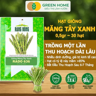 Hạt Giống Măng Tây Xanh GreenHome, Gói 0.5g~30 hạt, Dễ Trồng, Nảy Mầm Cao, Thu Hoạch, Năng Suất T19