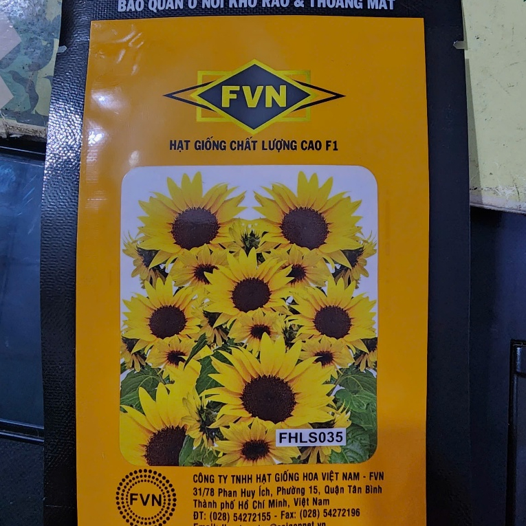 Hạt giống hoa hướng dương lùn siêu bông FVN FHLS035 (20 hạt)