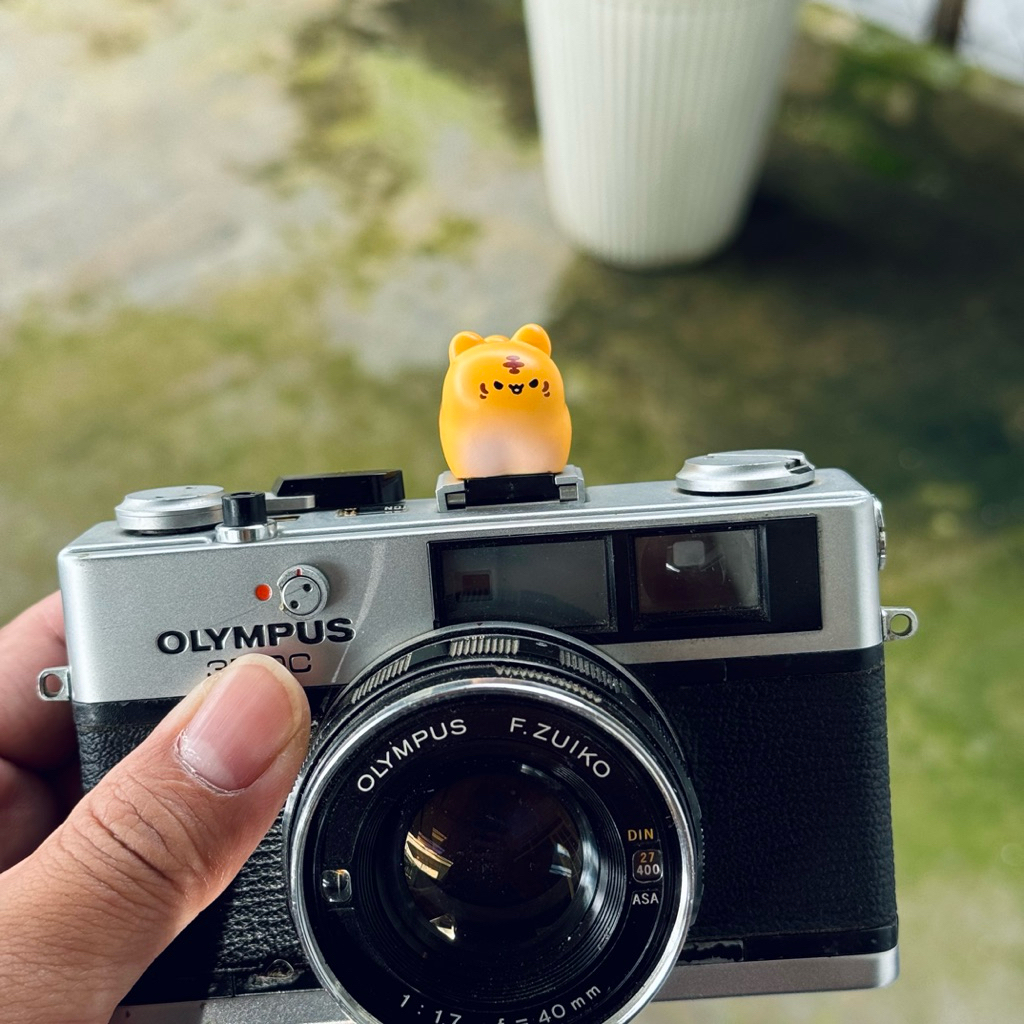 Hotshoe - Nắp che chân Flash máy ảnh hoạt hình - Mẫu HS10