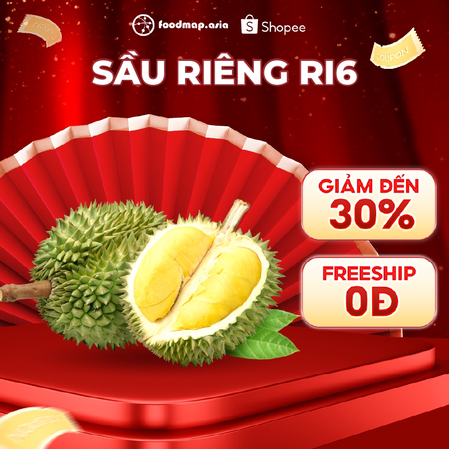  Thùng 2-3 Trái Sầu Riêng  Trái Xanh Chưa Chín  - FoodMap Fruits 