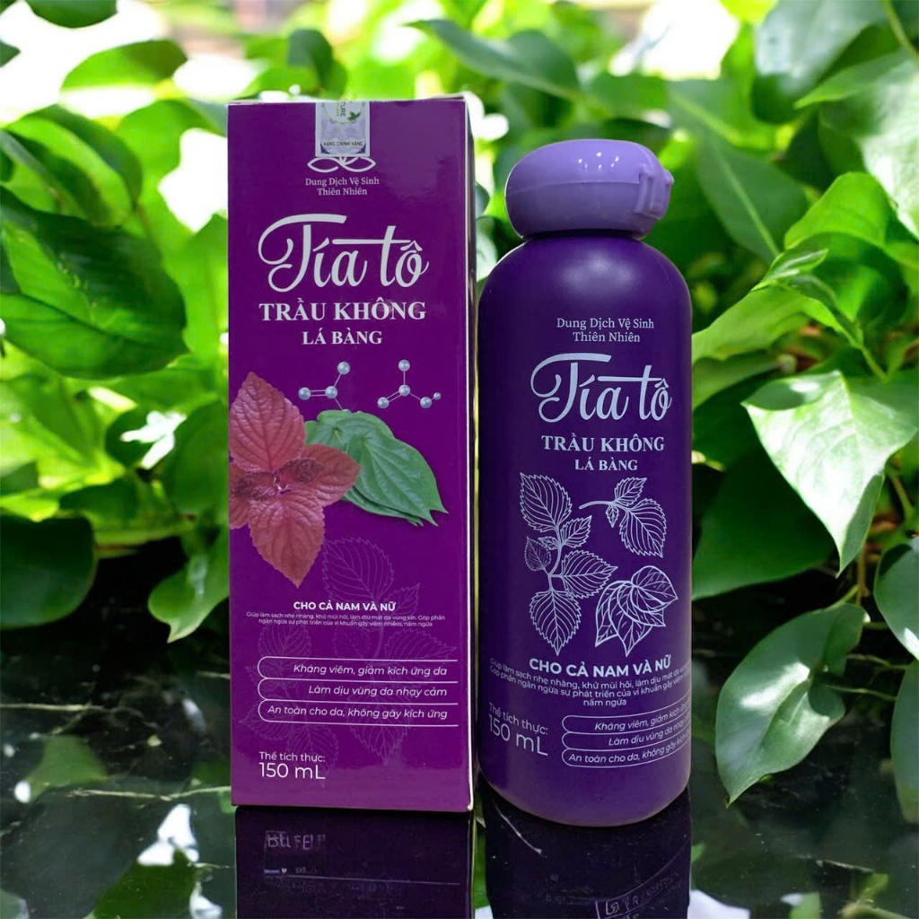 Dung dịch vệ sinh Tía tô trầu không lá bàng 150ml (chính hãng)