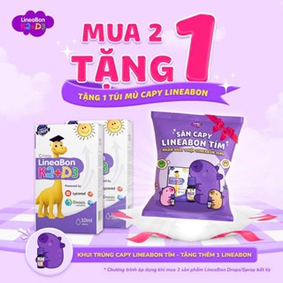  Túi mù gấu bông Capybara Lineaon D3k2 