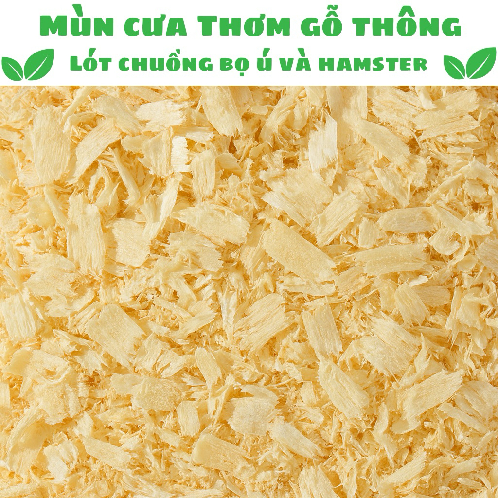 Mùn Cưa Thơm Lót Chuồng Hamster, Bọ Ú, Thỏ – Gỗ Thông Tự Nhiên – Thấm Hút Nhanh, Khử Mùi Tốt