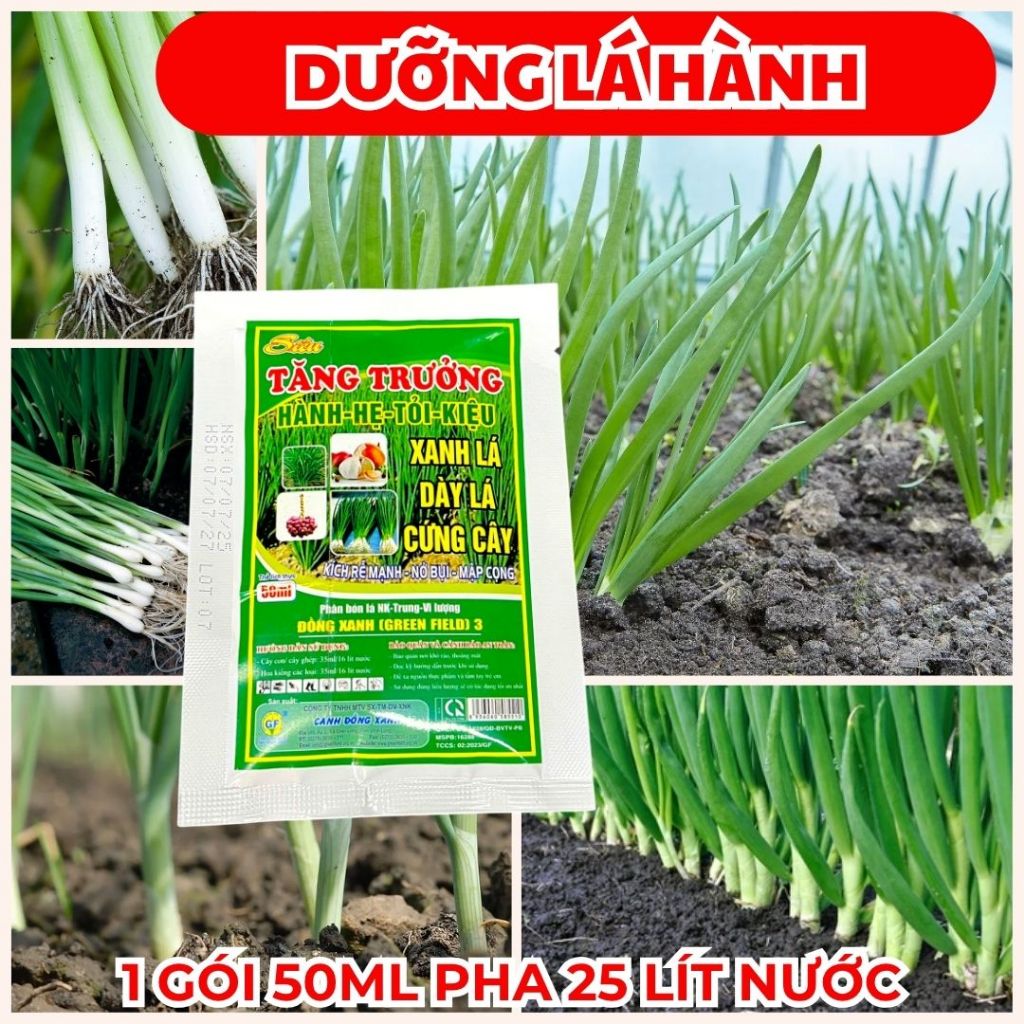 Phân Bón Lá Siêu Tăng Trưởng 50ML – Dưỡng To Cổ Hành - Cứng Cây Hành - Xanh Lá Hành - Nở Bụi Hành - 