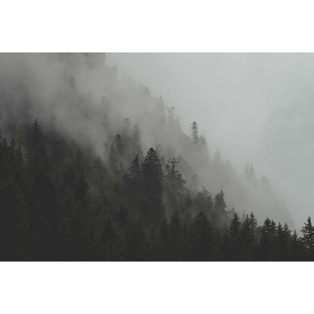 Ảnh dán màn hình hehe