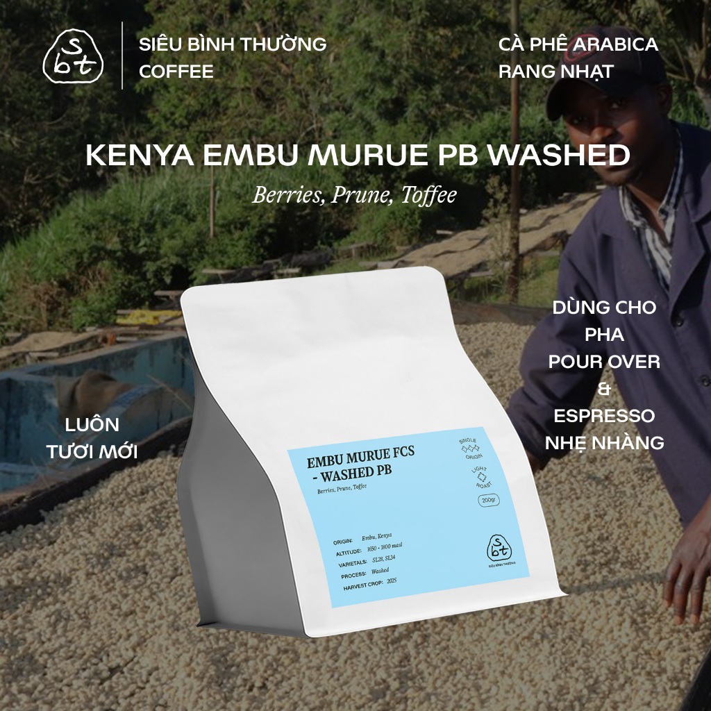 Kenya PB Embu Murue - Cà phê Arabica Đặc Sản  - Siêu Bình Thường Coffee Roasters