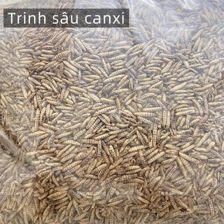   G.I.Á SỈ  2kg Sâu canxi sấy khô sâu sấy phồng thơm phức gà rất yêu thích thức ăn cho gà chim cá 